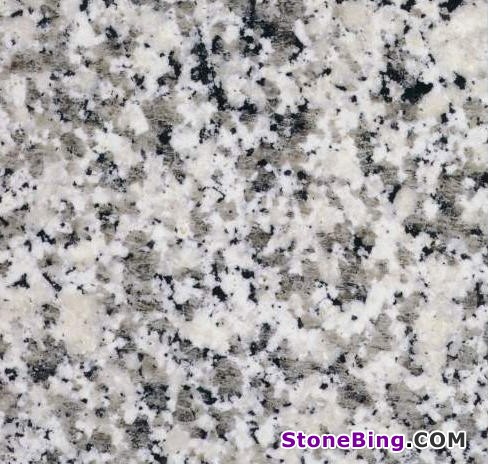 Bianco Sardo Granite Tile