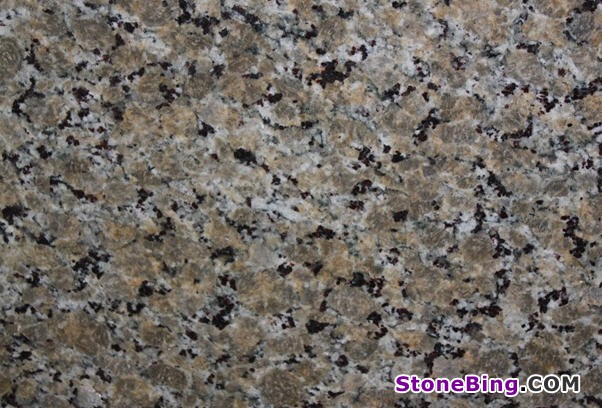 Beige Butterfly Granite Tile