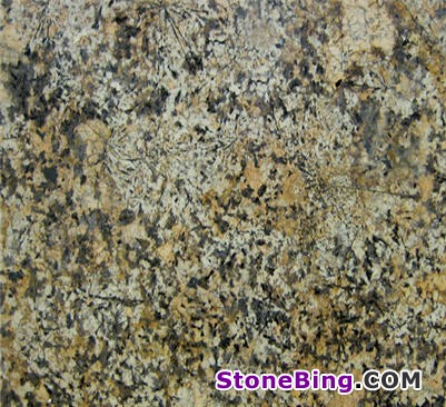 Delicatos Gold Granite Tile