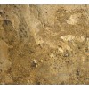 Giallo Beach Granite Tile