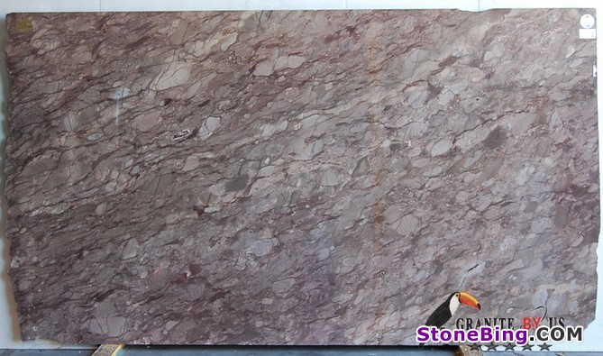 Brunell Quartzite Slab