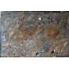 Rustic Gold Quartzite Slab