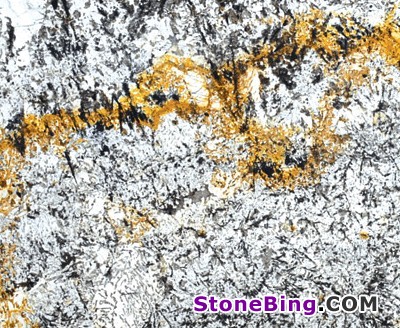 Tropical Treasure Granite Tile