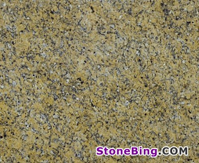 Santa Cecilia Dark Granite Tile