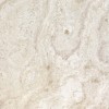 Mediterranean Roman Travertine Tile