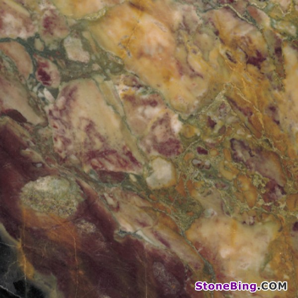 Breche de Vendome Marble Tile