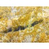 Breche de Vendome Marble Tile