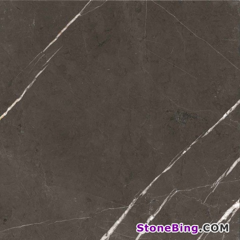 Pietra Gray Marble Tile