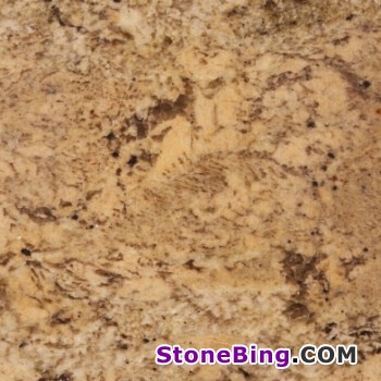 Crema Bordo Granite Tile