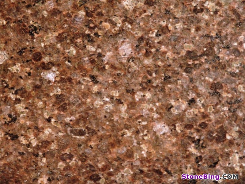 Brown Castor Granite Tile