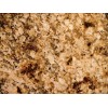 Giallo Florence Granite Tile