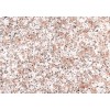 Almond Mauve Granite Tile