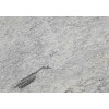 Bianco Romano Granite Tile