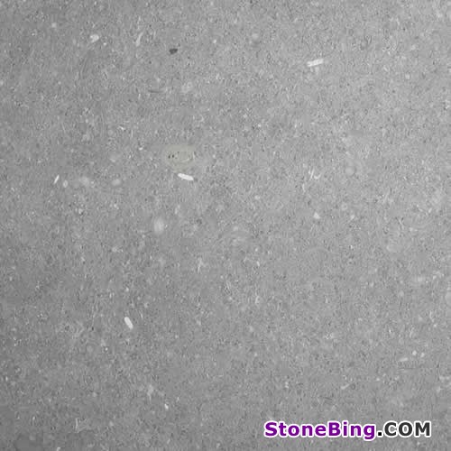 Fossil Limestone Tile