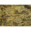 Golden Noir Granite Tile