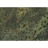 Hawaiian Green Granite Tile