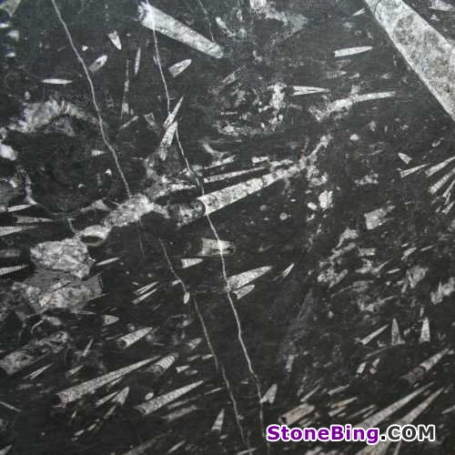 Nero Fossil Marble Tile