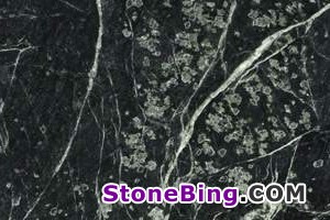 Verde Empress Marble Tile