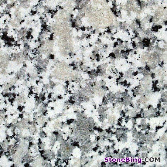 Grigio Sardo Granite Tile