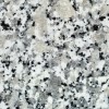 Grigio Sardo Granite Tile