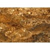 Golden Ray Granite Tile