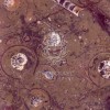 Fossil Brown Marble Tile