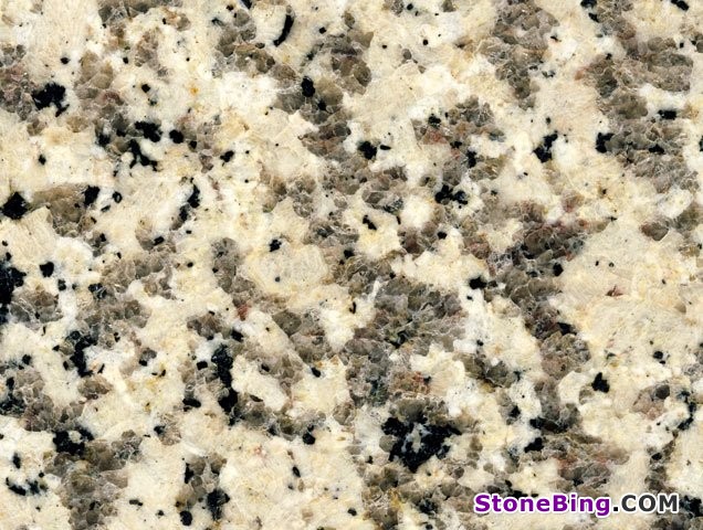 Crema Caramel Granite Tile