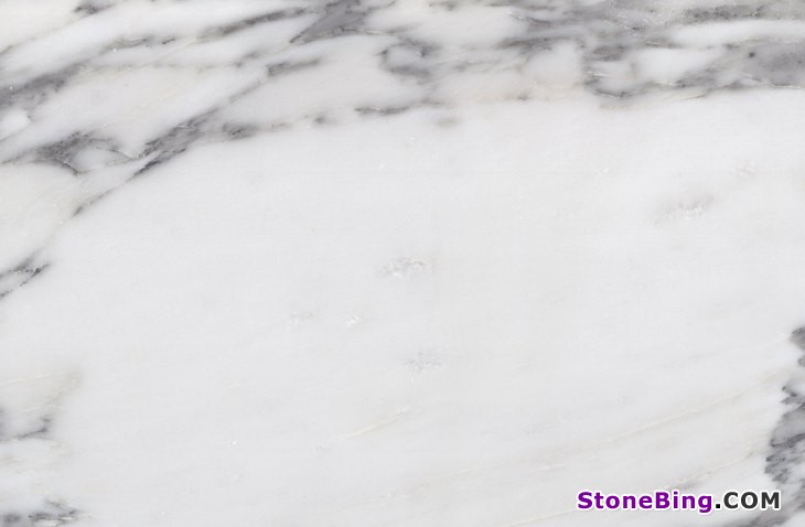 Arabescato Corchia Marble Tile
