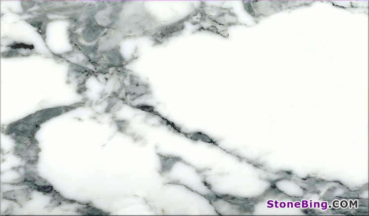 Arabescato Corchia Marble Tile