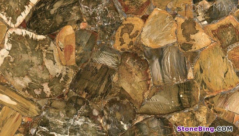 Desert Petrified Wood Semi-precious