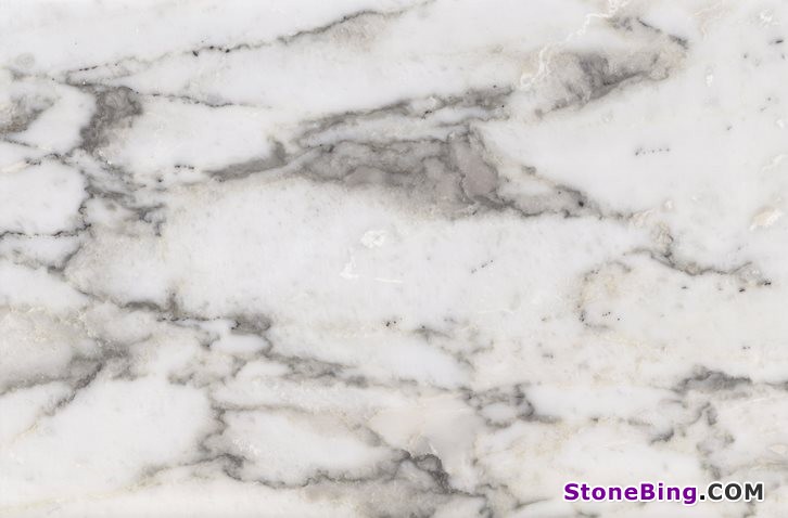 Arabescato Vagli Marble Tile