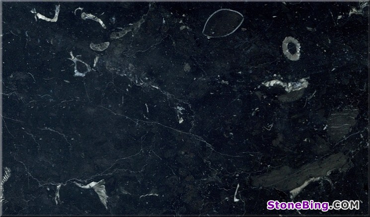 Nero Marquina Marble Tile