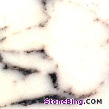 Arabescato Cervaiole Marble Tile