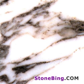 Arabescato Corchia Marble Tile