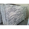 Arabescato Corchia Marble Slab