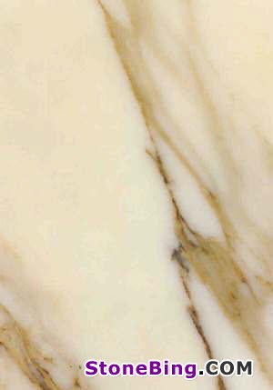 Calacatta Gold Marble Tile
