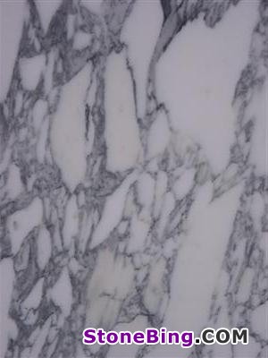 Arabescato Corchia Marble Tile