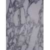 Arabescato Corchia Marble Tile