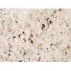 Topazio White Granite Tile