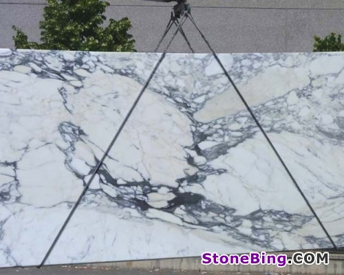 Arabescato Corchie Marble Slab