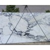 Arabescato Corchie Marble Slab