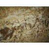 Autumn Gold Granite Slab