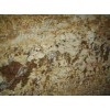 Autumn Gold Granite Slab