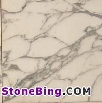 Arabescato Corchia Marble Tile