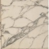 Arabescato Corchia Marble Tile