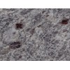 Azul Orisa Granite Tile