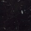 Negro Marquina Marble Tile