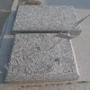 Pearl Flower Granite