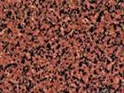 Pink Panther Tile- Polished