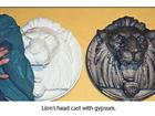 Lion's Head Cast With Gypsum